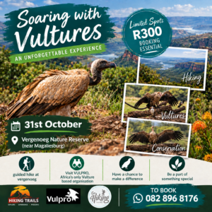 Vergenoeg/Vulpro Vulture Experience