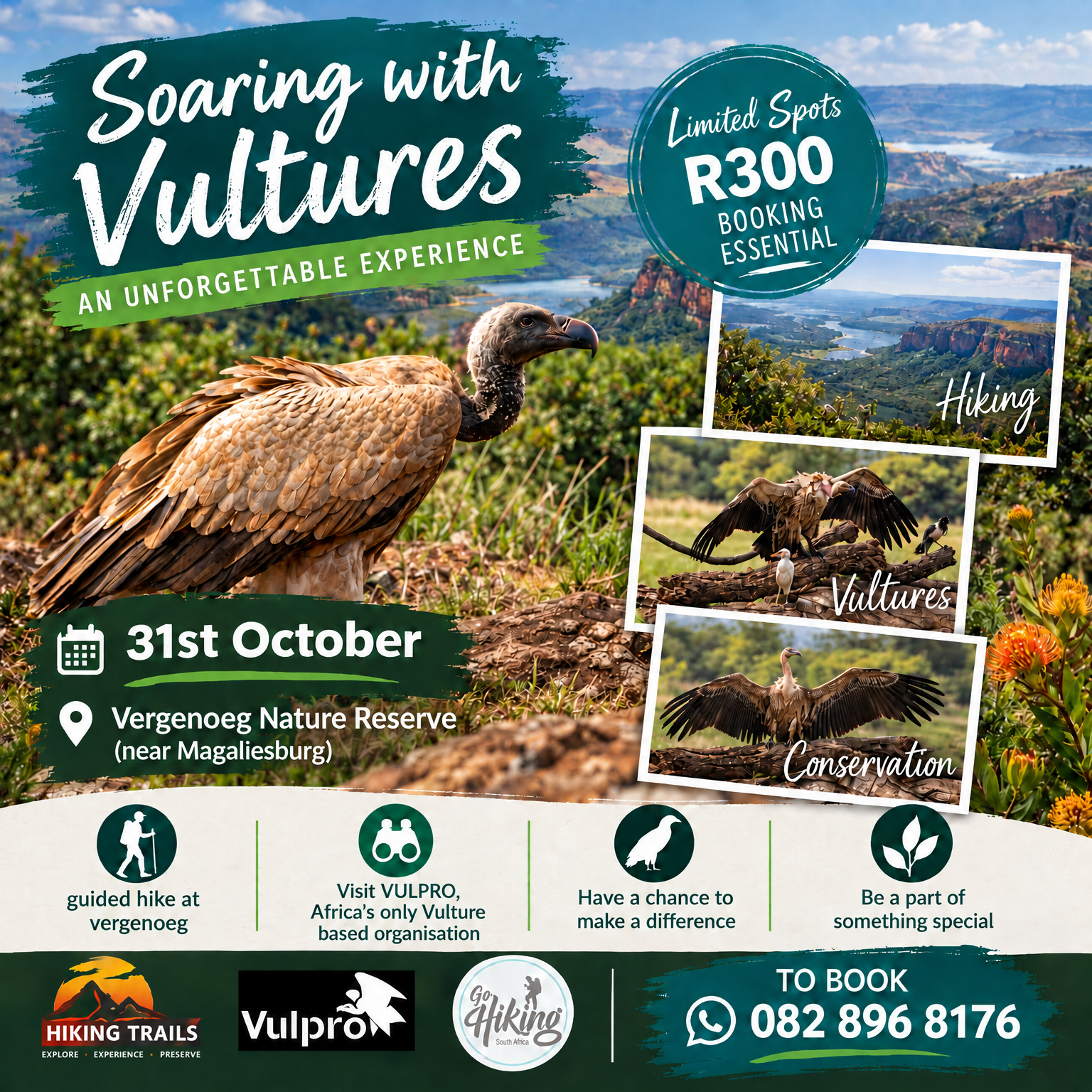 Vergenoeg/Vulpro Vulture Experience
