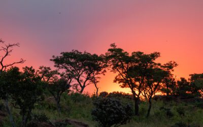 Seeking Sunsets & Chasing Waterfalls