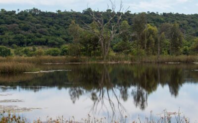 Bezhoek Day Hike